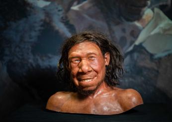 Oggi il cervello umano genera più neuroni rispetto ai Neanderthal: lo studio