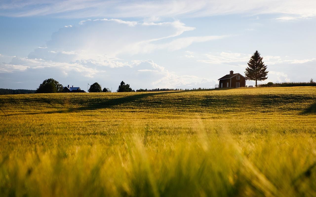 Land Flipping: cos’è e come funziona il nuovo trend immobiliare che spopola negli USA