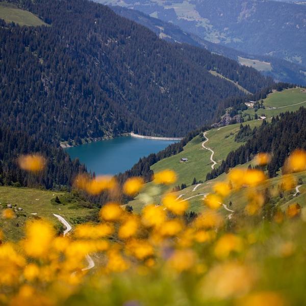 Perché andare alla valle di La Creuse amata da Monet: 5 posti da favola