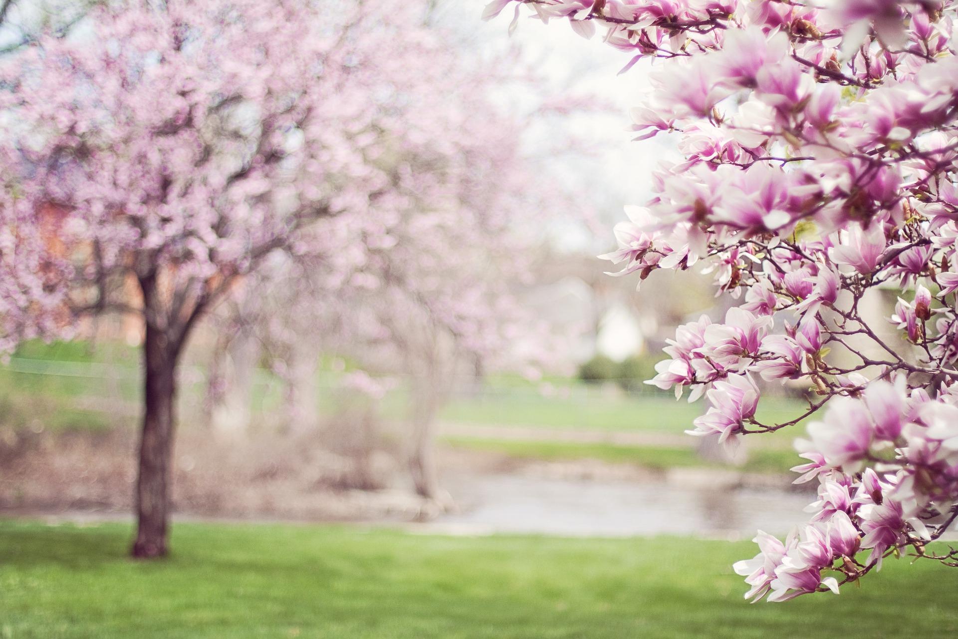 Sonnolenza da primavera, cause e rimedi