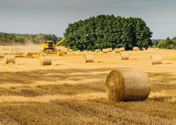 Congedo parentale operai agricoli: come funziona il pagamento diretto