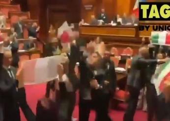 Rissa alla Camera, la tensione si sposta in Senato: M5S occupa l’aula sventolando il tricolore. Bonelli (Avs): “Aggressione squadrista”, replica Crippa (Lega): “Donno meglio al circo che in Palamento” | VIDEO