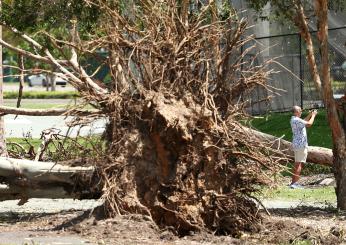 Massa Carrara, 69enne muore travolto da un albero ad Aulla in Lunigiana