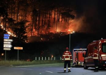 Portogallo, oltre 40 incendi al nord: almeno 7 morti. Il governo dichiara lo stato di calamità | VIDEO