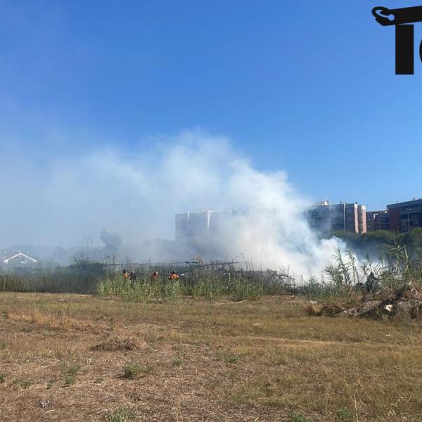 Incendio a Roma oggi, fiamme e fumo alto in viale Ciamarra: cosa è successo? | FOTO e VIDEO