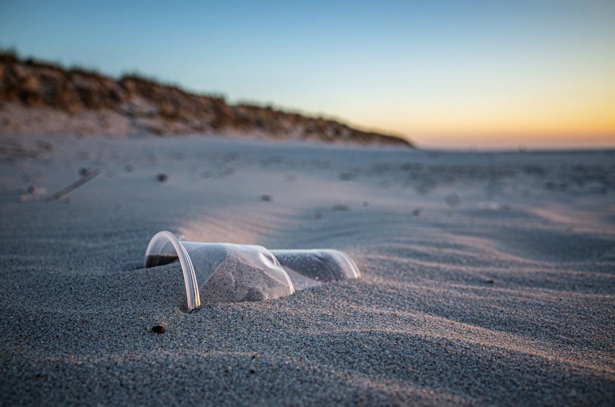 Puglia, spiagge invase da bottiglie di ketchup americane: la scoper…