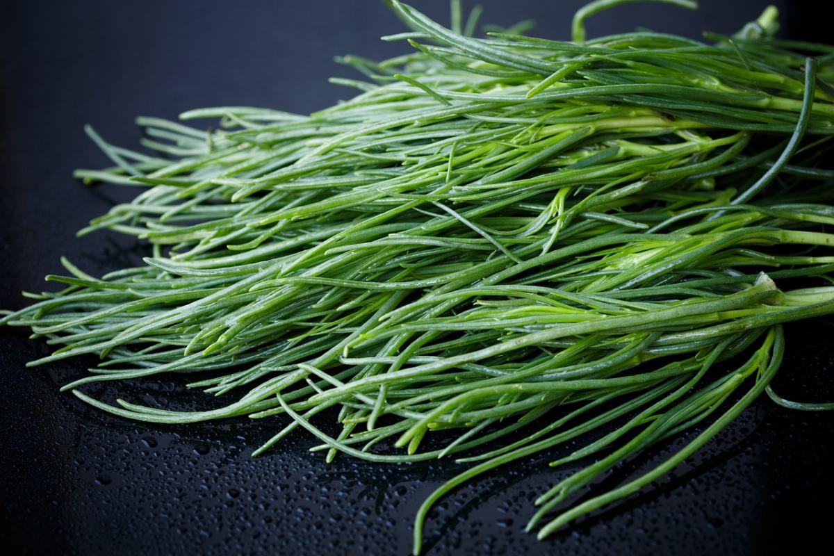 Tre ricette con agretti per gustare le primavera