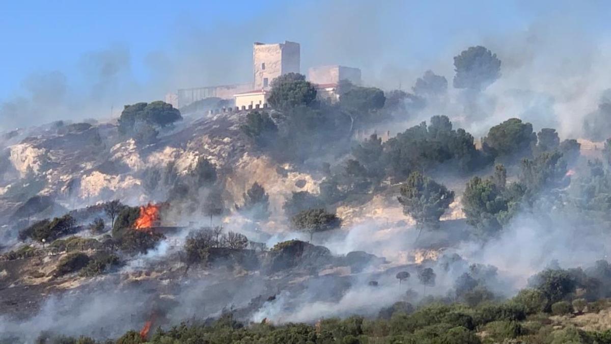 Cagliari avvolta da fiamme e fumo, grosso incendio nel Colle di San…