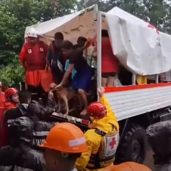 El Salvador, maltempo su tutto il Paese: piogge e inondazioni provocano 12 morti e duemila sfollati | VIDEO