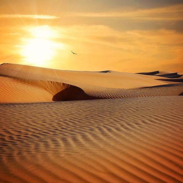 Dove vedere le dune di sabbia in Europa: le più belle in assoluto