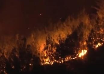 Incendi in Turchia, le fiamme raggiungono le abitazioni: in pericolo monumenti commemorativi dei caduti della Prima guerra mondiale | VIDEO