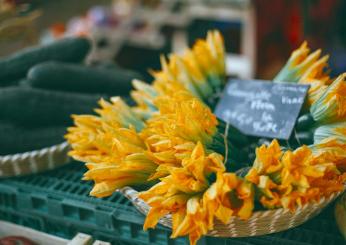 Fiori di zucca: ricette veloci da non perdere