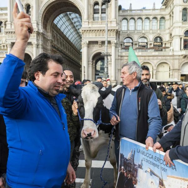 Agricoltori, maggioranza divisa: la Lega con Centinaio chiede di intervenire sull’Irpef. Donzelli e Barelli accusano l’Europa| VIDEO