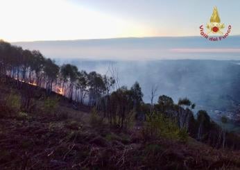 Bolzano, incidente sul lavoro a Nova Levante: boscaiolo viene travolto da un albero e muore