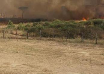 Roma, incendio a via Monte Carnevale: bruciano sterpaglie, cenere in centro. Cosa è successo?