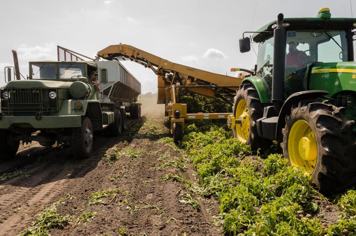 Impresa agricola giovanile: tutte le agevolazioni 2024