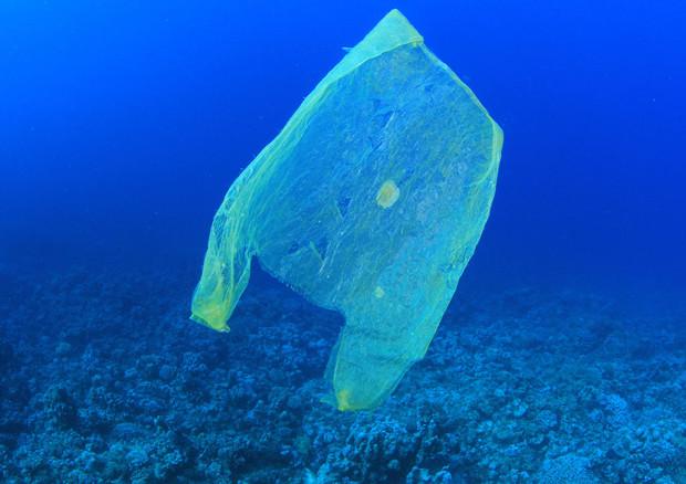 L’inquinamento nell’ambiente marino