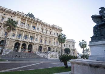 Madre perseguita psicologa e assistente sociale, condannata a un anno e sei mesi