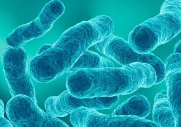 allarme legionella