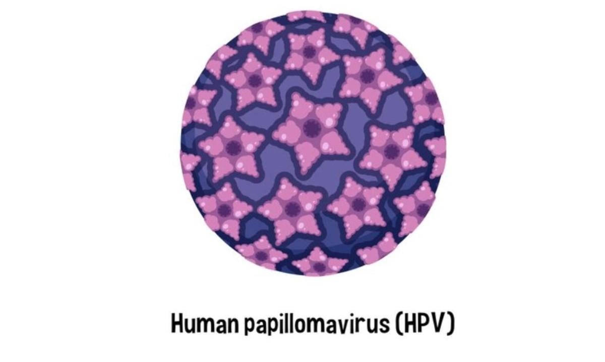 Come si trasmette l’HPV, come si diagnostica e qual è la cura