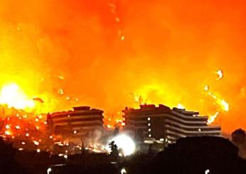 Palermitano, emergenza incendi: due morti e molti edifici evacuati | VIDEO