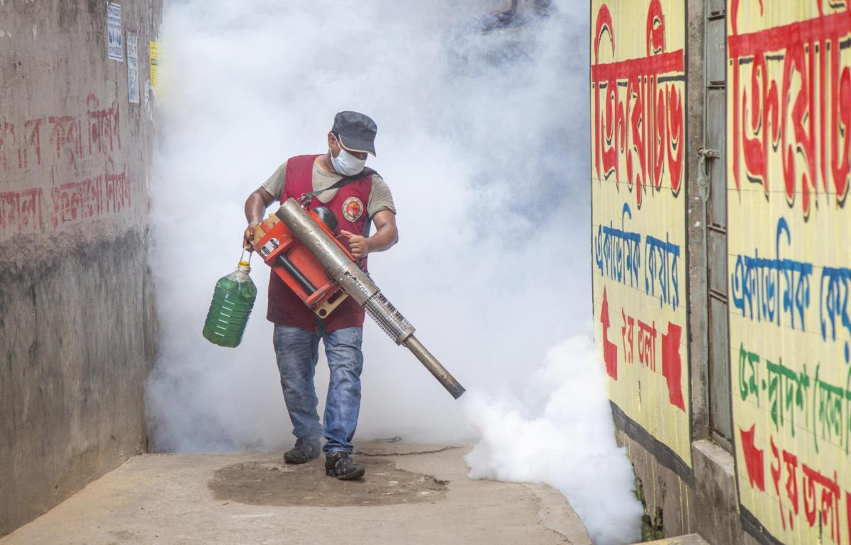 In Europa crescono i casi di Dengue, la “febbre spaccaossa”: primi …