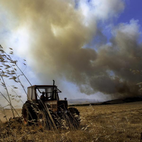 Esonero contributivo coltivatori diretti e imprenditori agricoli professionali: come funziona? Le istruzioni INPS