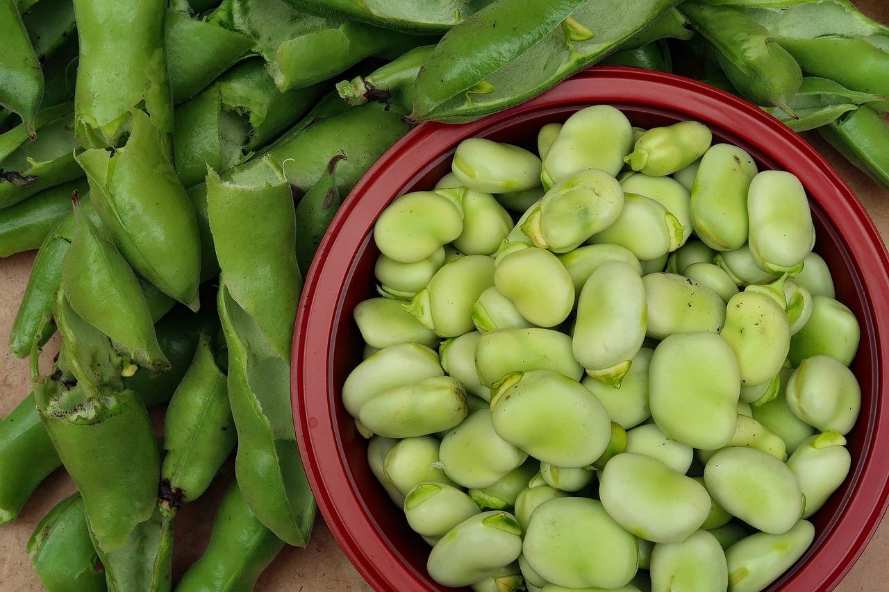 Pranzo Domenica delle Palme: primo alle crema di fave facile e gustoso