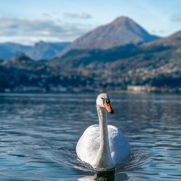 Dove andare in vacanza vicino a Milano nel mese di settembre?