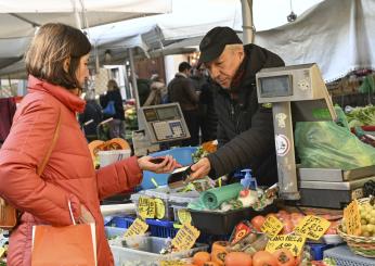 Istat, in crescita reddito, potere d’acquisto e risparmio delle famiglie. In calo inflazione e pressione fiscale