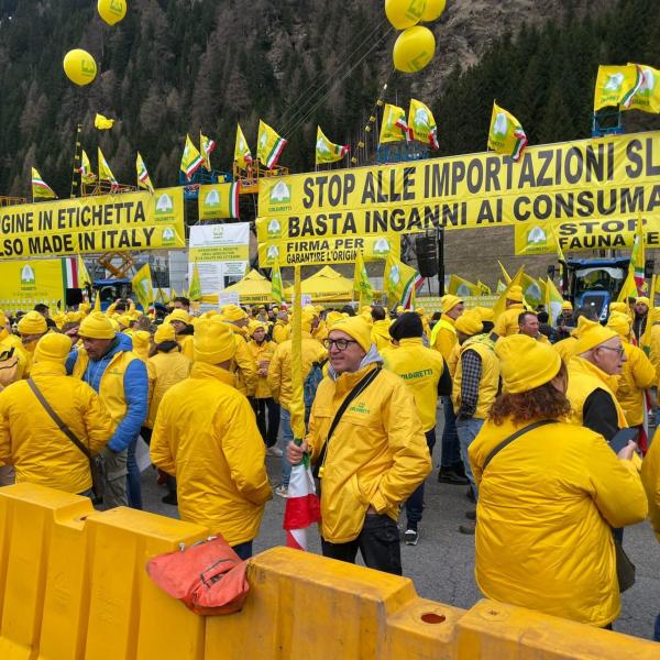 Made in Italy, Coldiretti al Brennero per difendere i prodotti italiani: “Lo facciamo per la salute dei cittadini”. #nofakeitaly e la campagna sui Social