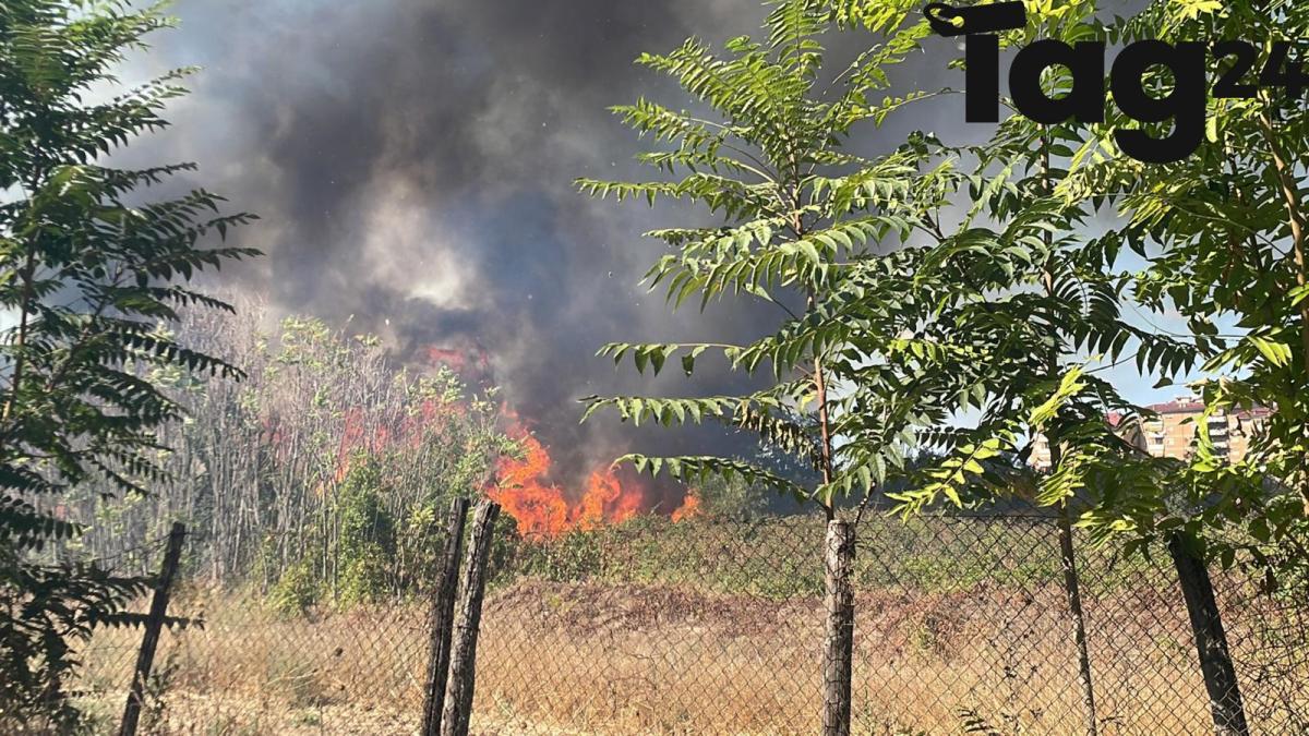 Incendio a Cinecittà oggi: cosa è successo al “Pratone”? Fiamme alte e fumo nero a Roma est | FOTO e VIDEO