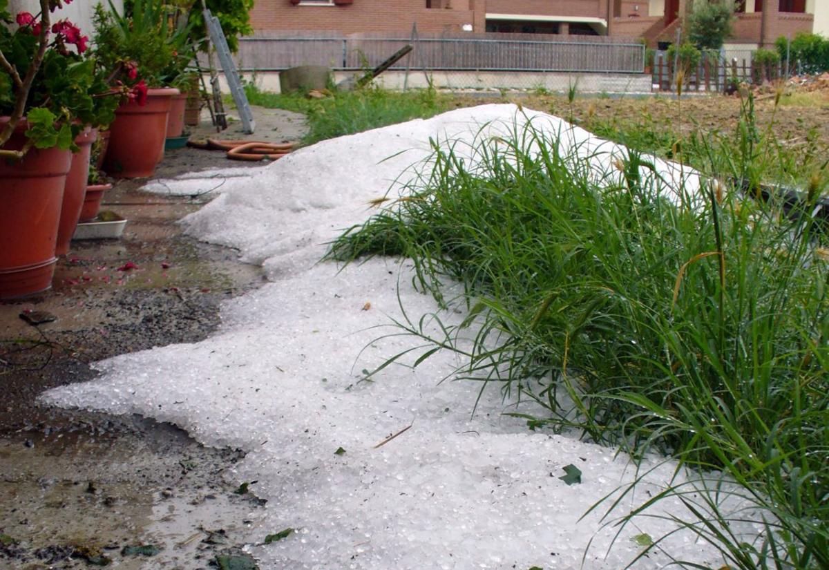 Ponte 25 aprile, Coldiretti: i danni della grandine caduta nella Pe…