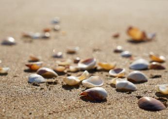 Cosa rischia chi raccoglie sassi, sabbia e conchiglie in spiaggia? Ecco le sanzioni e perché è vietato