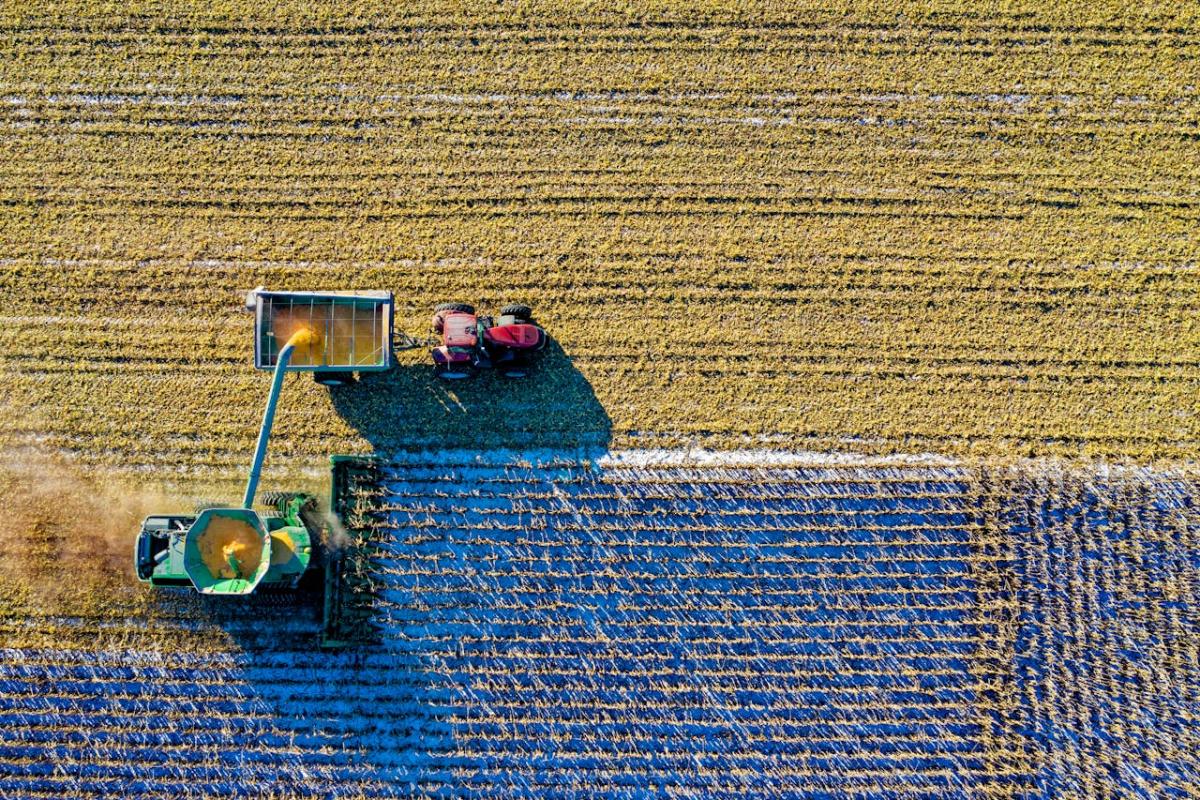 Come calcolare il valore di un terreno agricolo