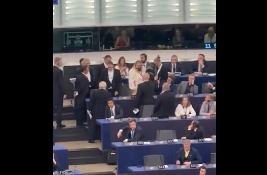 Chi è Diana Ivanovici Soșoacă e perché è stata cacciata dal Parlamento europeo? VIDEO