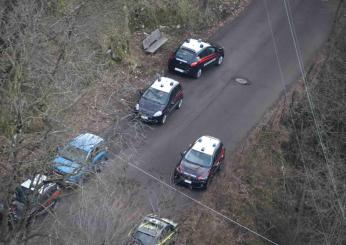 Varese, sgominata la banda del bosco della droga: 25 persone arrest…