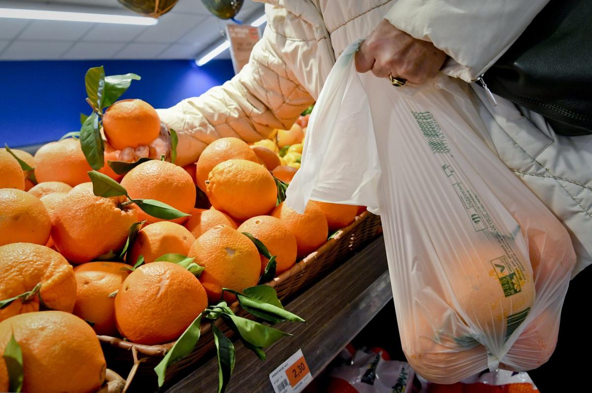 Corte Ue, bocciato il divieto italiano sui sacchetti di plastica mo…