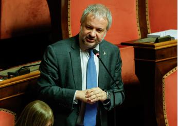 Elezioni Europee 2024, la Lega vuole eliminare la bandiera Ue. Borghi: “Vale solo il Tricolore”