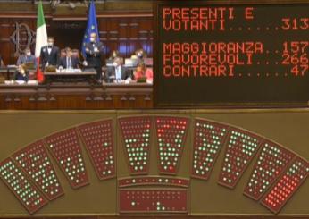 Dl Aiuti bis, il Senato approva quasi all’unanimità. No alla delega…