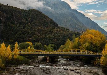 Bolzano, donna senza dimora ritrovata morta tra le ceneri del suo r…