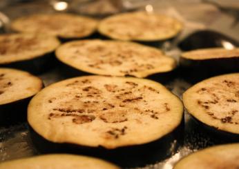 Come cucinare le melanzane? Al forno e in padella, ricette per preparale in modo leggero, gustoso e veloce