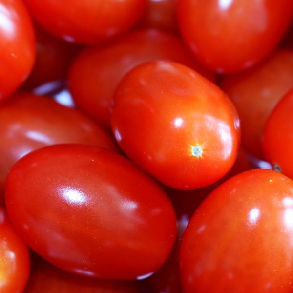 Che bontà! Le ricette con pomodorini datterini