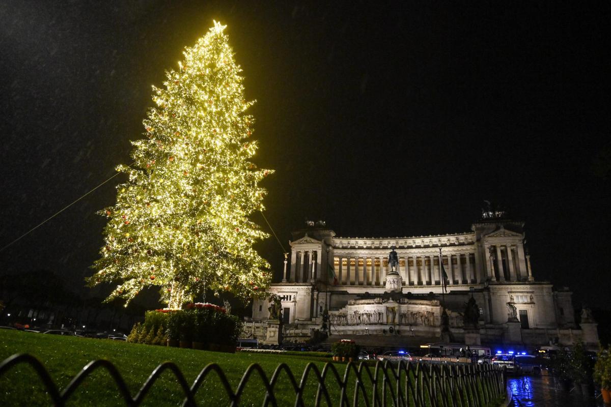 Spelacchio 2022. Quest’anno l’albero di Roma a costo zero.