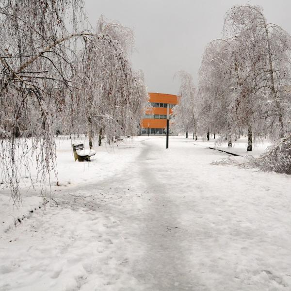 “Bomba di neve” in Slovenia: disagi in molte città e danni alle ret…