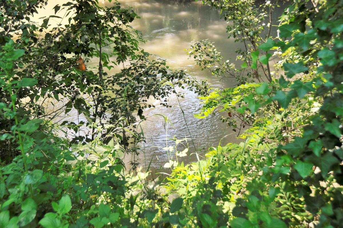 Parco Fluviale dell’Alcantara, tutto quello che c’è da sapere