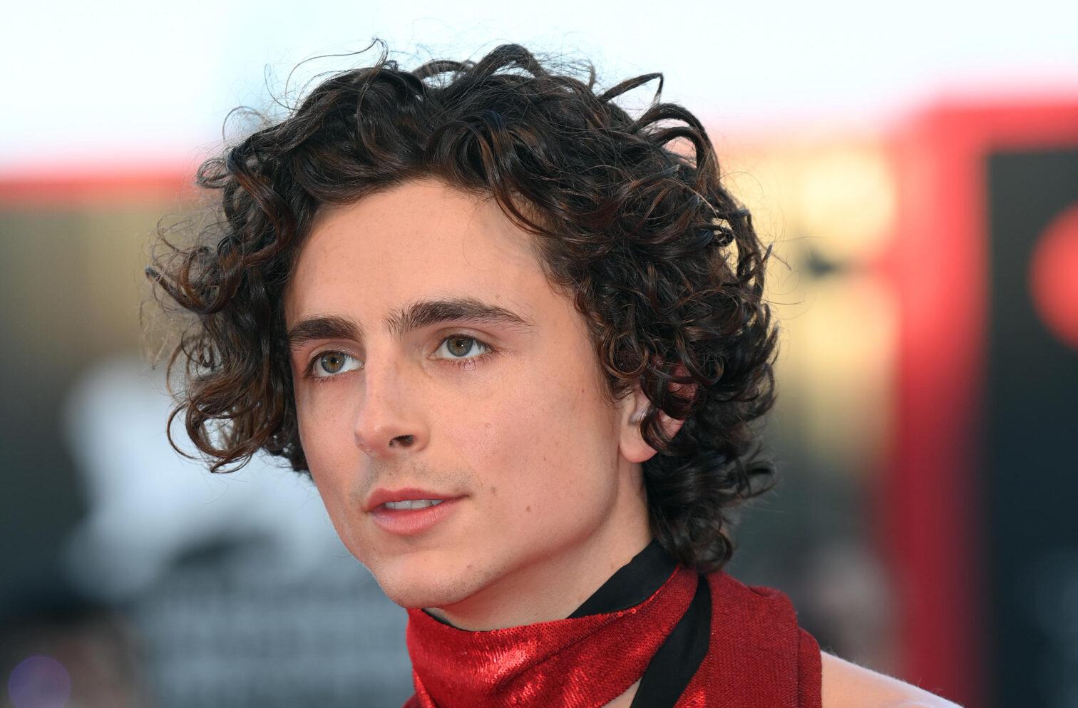 Wonka 2023 trailer italiano: quando esce il film con Timothée Chalamet