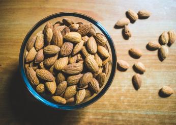 Un sano regime alimentare: spuntini proteici da portare al lavoro