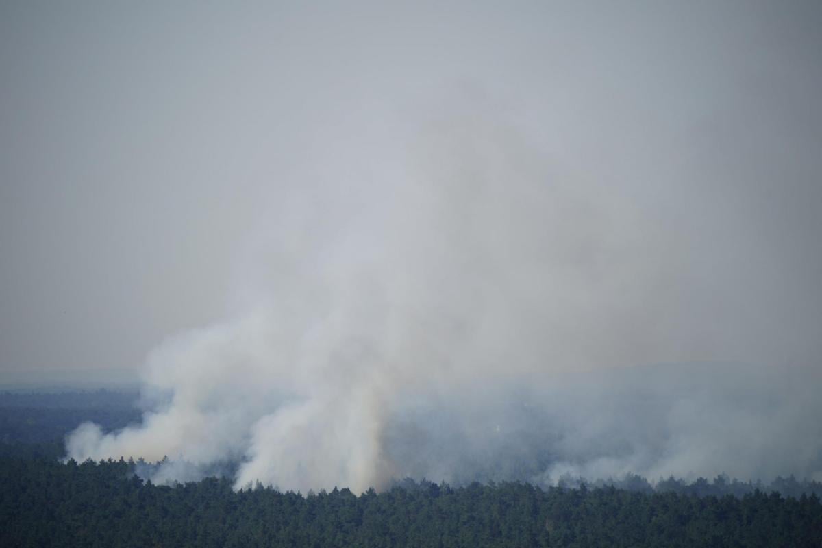 Germania: in fiamme il bosco Grunewald di Berlino