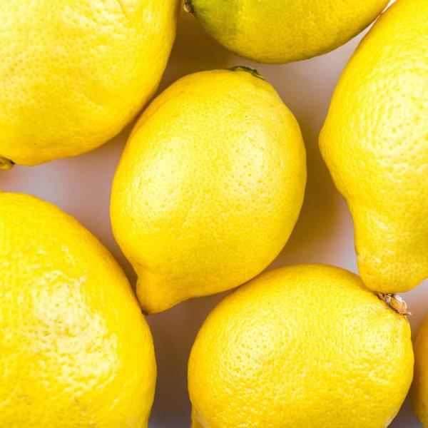 Bavarese al limone senza uova: il dessert fresco pronto in un attimo